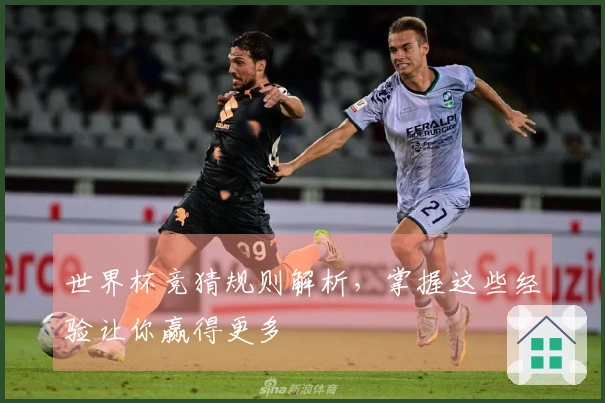 世界杯竞猜规则解析，掌握这些经验让你赢得更多