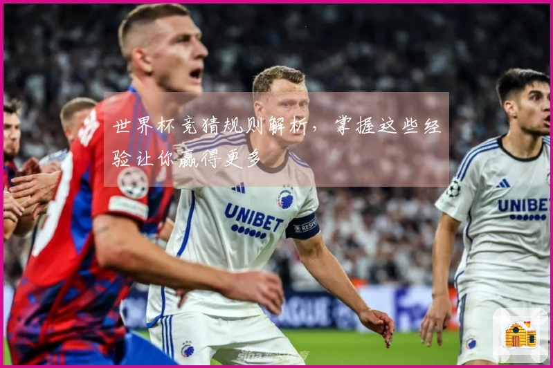 世界杯竞猜规则解析，掌握这些经验让你赢得更多