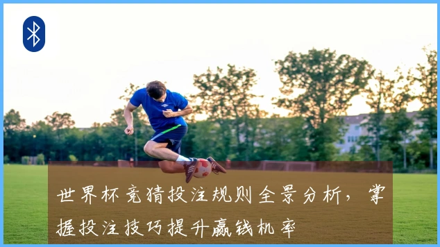 世界杯竞猜投注规则全景分析，掌握投注技巧提升赢钱机率