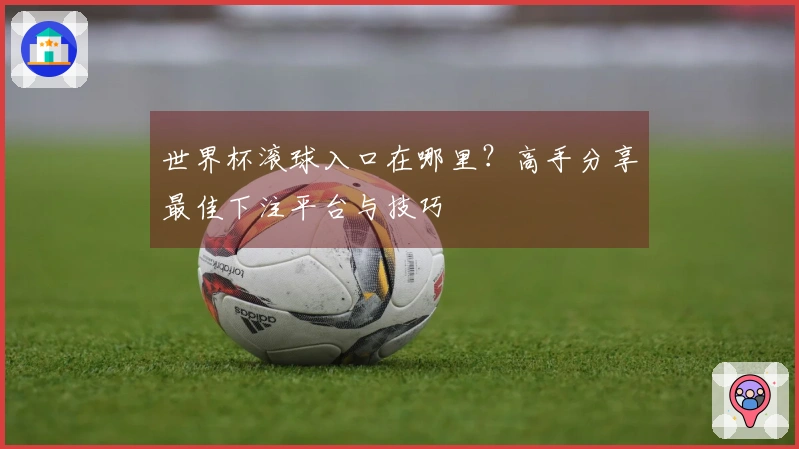 世界杯滚球入口在哪里？高手分享最佳下注平台与技巧