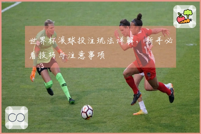 世界杯滚球投注玩法详解，新手必看技巧与注意事项