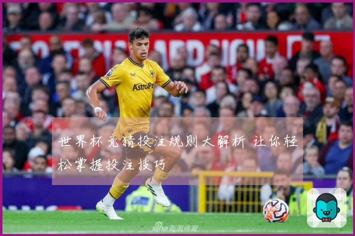 世界杯竞猜投注规则大解析 让你轻松掌握投注技巧