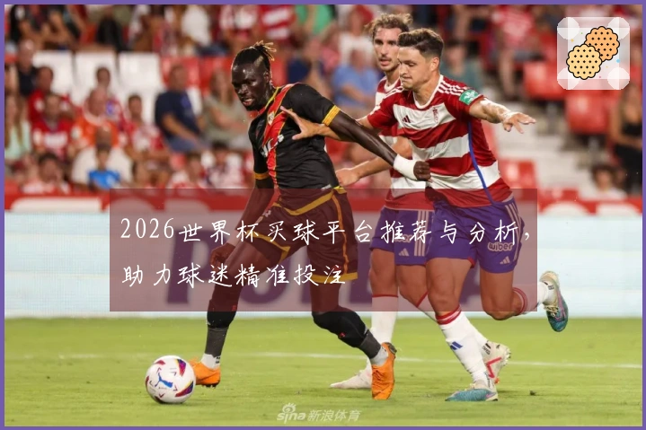 2026世界杯买球平台推荐与分析，助力球迷精准投注